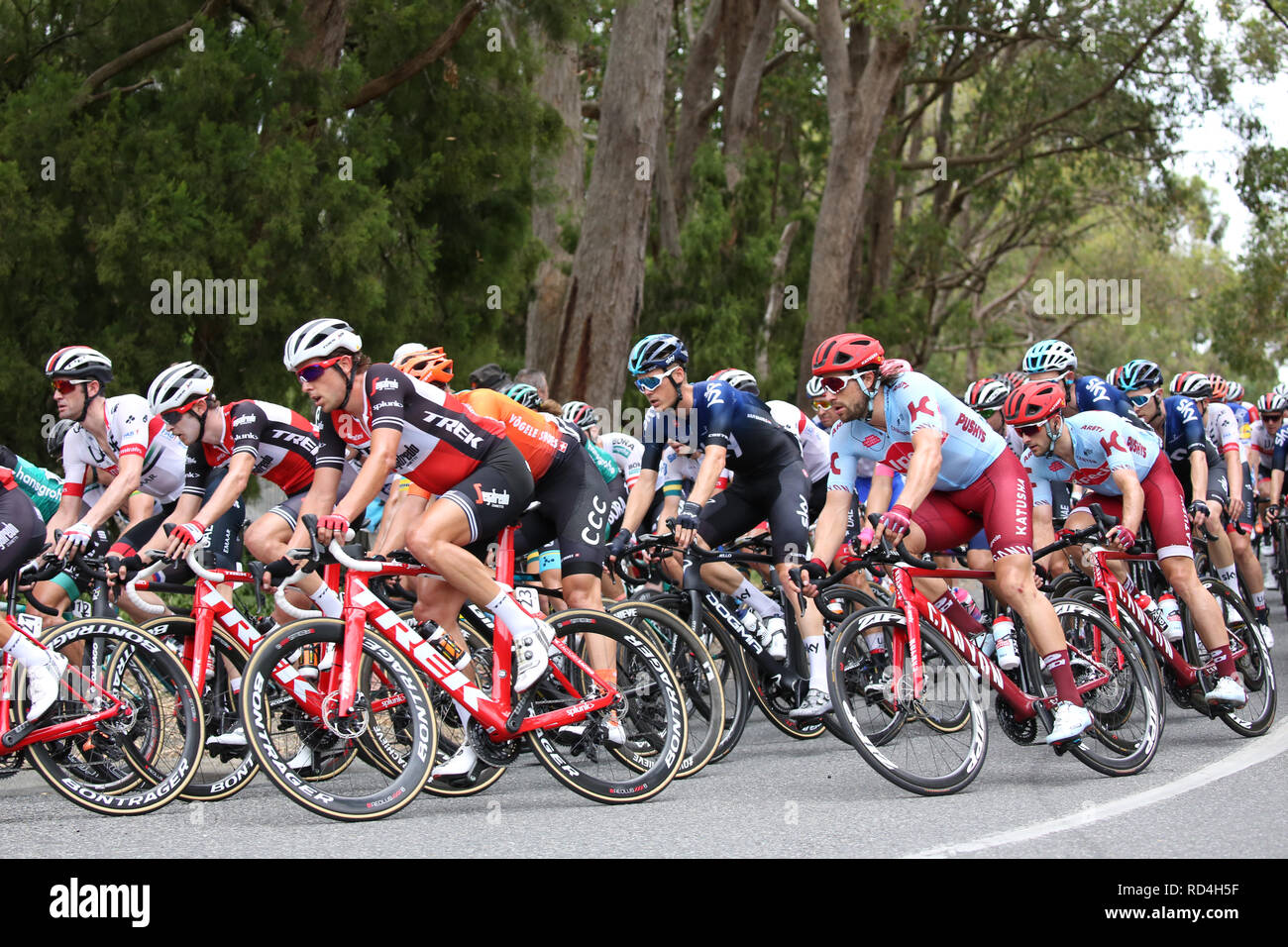cycling tour down under
