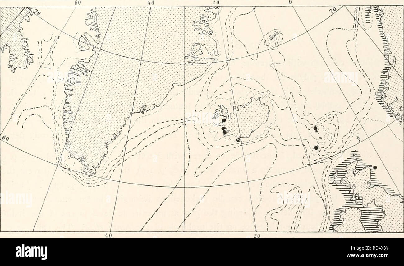 . The Danish Ingolf-Expedition. Scientific expeditions; Arctic Ocean. Fig. LXXXVII. The distribution of Laomedea hyalina in the Northern Atlantic. In the hatched region the literature notes a scattered occurrence.. 2 00 /TV boom     . looorn. 2000m Fig. LXXXVII I. The distribution of Laomedea gracilis in the Northern Atlantic. In the hatched regions the literature notes a scattered occurrence.. Please note that these images are extracted from scanned page images that may have been digitally enhanced for readability - coloration and appearance of these illustrations may not perfectly resemble t Stock Photo