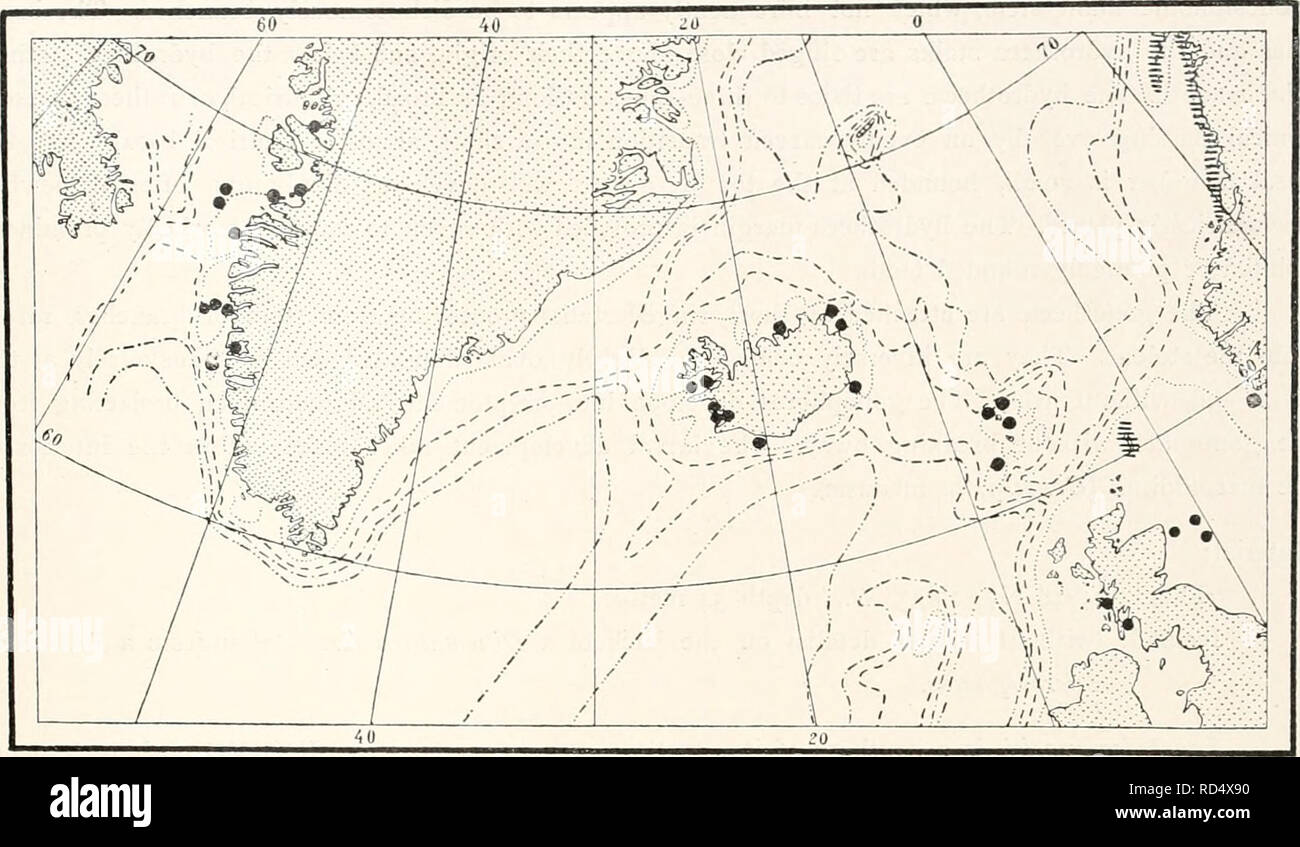 . The Danish Ingolf-Expedition. Scientific expeditions; Arctic Ocean. HYDROIDA II I7I. Fig. LXXXVII. The distribution of Laomedea hyalina in the Northern Atlantic. In the hatched region the literature notes a scattered occurrence.. Please note that these images are extracted from scanned page images that may have been digitally enhanced for readability - coloration and appearance of these illustrations may not perfectly resemble the original work.. Ingolf (Cruiser); Danish Ingolf-Expedition (1895-1896). Copenhagen : H. Hagerup Stock Photo