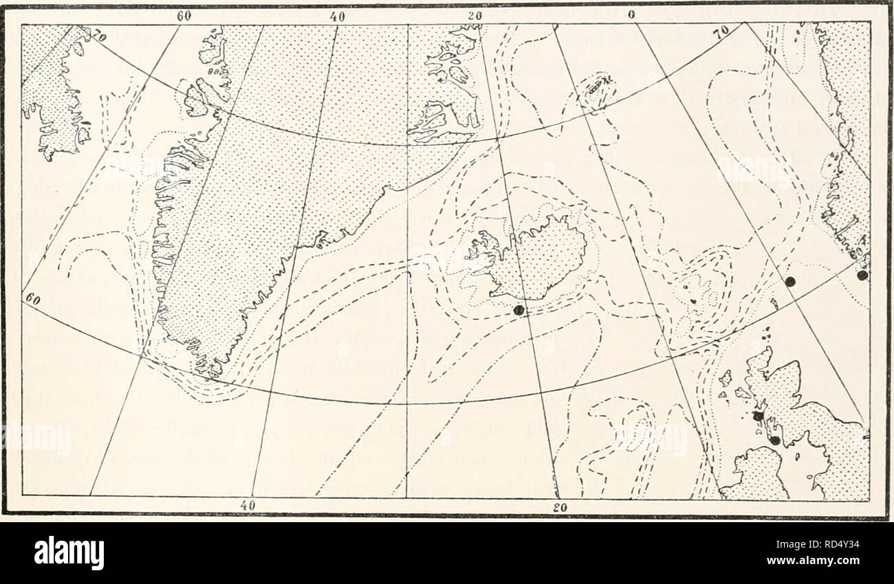 . The Danish Ingolf-Expedition. Scientific expeditions; Arctic Ocean. HYDROIDA II 61. Fig. XXVIII. Finds of Polyplumaria flabellata in the Northern Atlantic. one or two alternating apophyses. The apophyse proceeds asymmetrically from the base of a cauline hvdrotheca; this is surrounded by a pair of supracalycine sarcothecae, and a third sareotheca situate proximally and a little to the side of the median line, somewhat removed from the base of the hvdro- theca, on the side of the median line opposite to the apophyse. The hydrocladia are divided by trans- verse nodes into internodia, which have Stock Photo