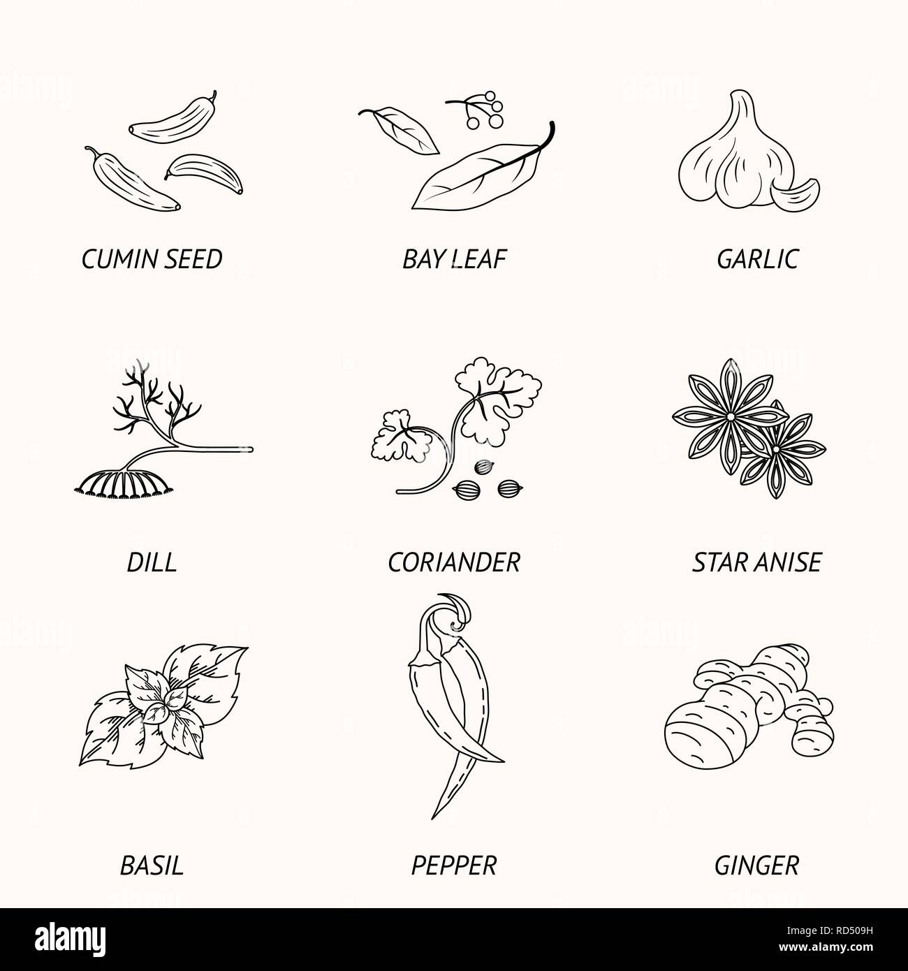 Spices set of linear icons. Vector image Stock Vector