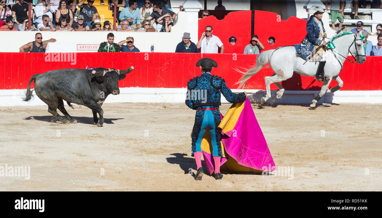 Bullfight in Alcochete. Horseman, bull and toreador, Bulls are not killed during the bullfight, Alcochete, Setubal Province, Portugal Stock Photo