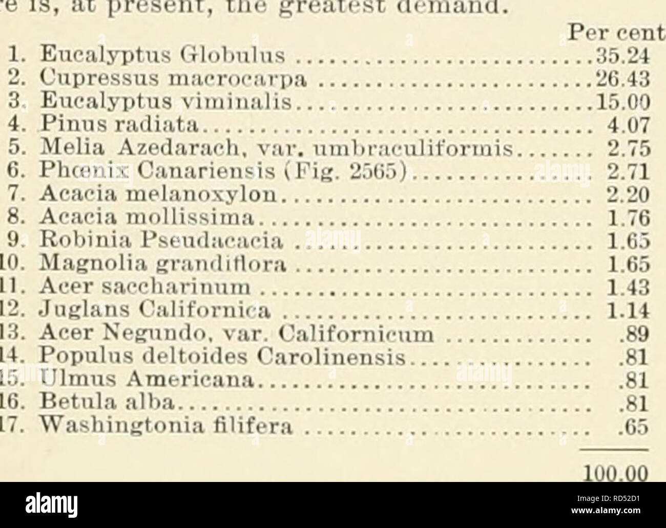 . Cyclopedia of American horticulture, comprising suggestions for cultivation of horticultural plants, descriptions of the species of fruits, vegetables, flowers, and ornamental plants sold in the United States and Canada, together with geographical and biographical sketches. Gardening. 1842 Eucalyptus robusta. Eucalyptus viminalis Eucalyptus rostrata. Acer sacchariuum. Pittosporum spp. Washingtonia fllifera. Betula alba. Cedms Deodara. II. Trees Being Most Extensively Planted at the Present Time. âThe following list, arranged in setiuence according to the actual number of sales made during th Stock Photo