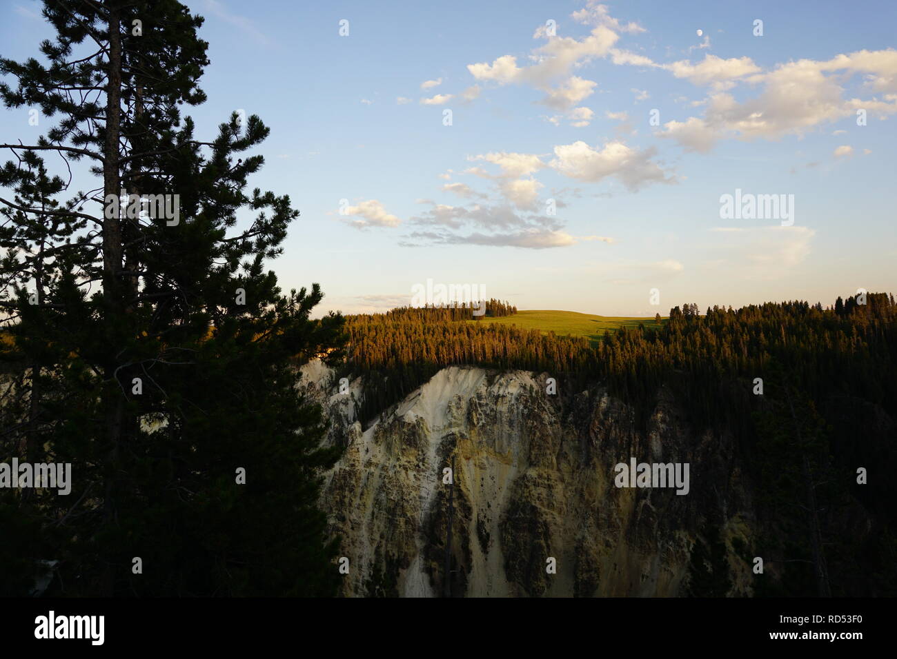 Canyon Cliff Overlook, Yellowstone National Park Stock Photo - Alamy