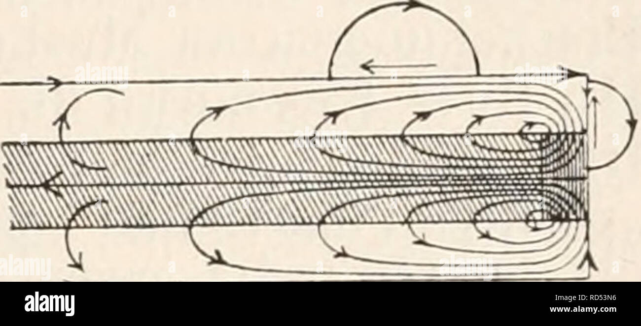 . Elektrophysiologie. . Die elektromotorischen Wirkungen der Nei-ven. 707 Stromstärke und Stromesdauer an der physiologischen Kathode, d. h. an jedem Punkte, wo der Strom aus der erregbaren Substanz austritt, während der Schliessungszeit ein Zustand erhöhter Anspruchsfähigkeit besteht, während das Umgekehrte an der physiologischen Anode der Fall ist, so ergiebt sich unmittelbar auch ein Verständniss für die Thatsache der intra- und extrapolar sich ausbreitenden polar-antago- nistischen Erregbarkeitsänderungen eines polarisirten markhaltigen Nerven. Es erklärt sich ferner leicht die auf den ers Stock Photo