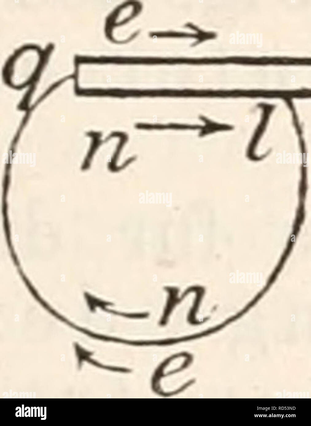 . Elektrophysiologie. Die elektromotorischen Wirkungen der Nerven. 671. 6->. Please note that these images are extracted from scanned page images that may have been digitally enhanced for readability - coloration and appearance of these illustrations may not perfectly resemble the original work.. Biedermann, W. (Wilhelm), 1852-1929. Jena, Fischer Stock Photo