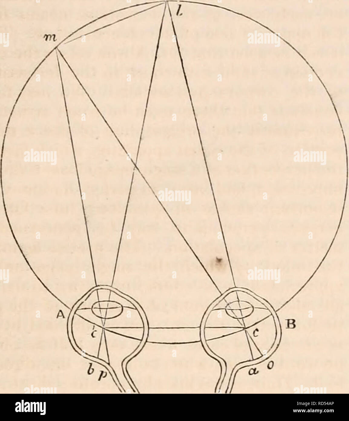 . The cyclopædia of anatomy and physiology. Anatomy; Physiology; Zoology. VISION. •1-19 lie in a certain circle, designated the horopter; a circle which passes at once through the point of coincidence, /, of the visual axes, la, I b, and the points of decussation, c c', of these axes with the lines of direction. Fig. 837.. Let c c' be the centres of the eyes A B, / the point regarded, Ice' the horopter, « and b the points of the retina on which the axes of the eyes terminate; and let m be a second point in the horopter. The point / appears upon the axial points a and b, the point m at o and p  Stock Photo