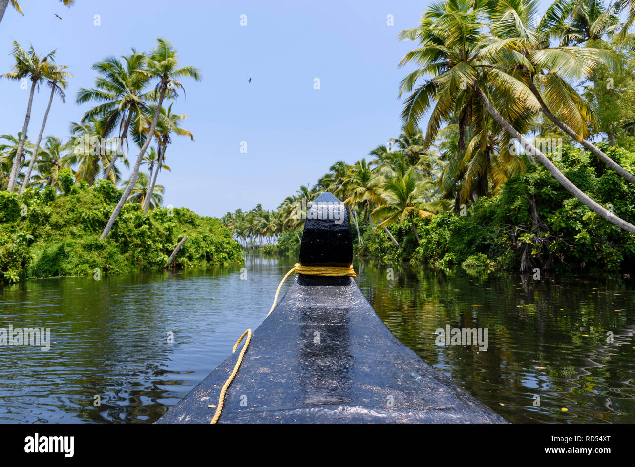 Kerala water plants hires stock photography and images Alamy