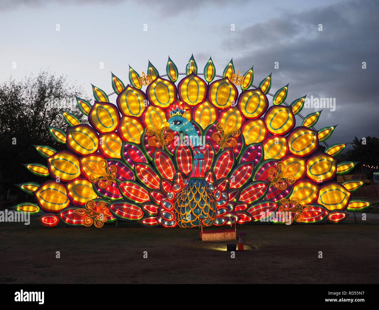 Chinese peacock lantern at Los Angeles Arboretum Stock Photo