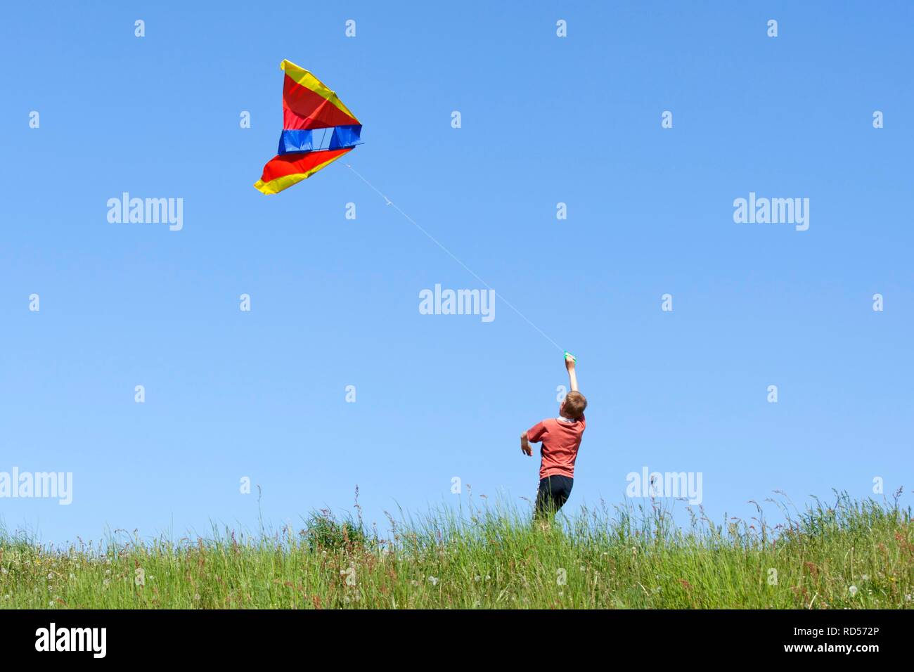 Young boy flying a kite Stock Photo Alamy