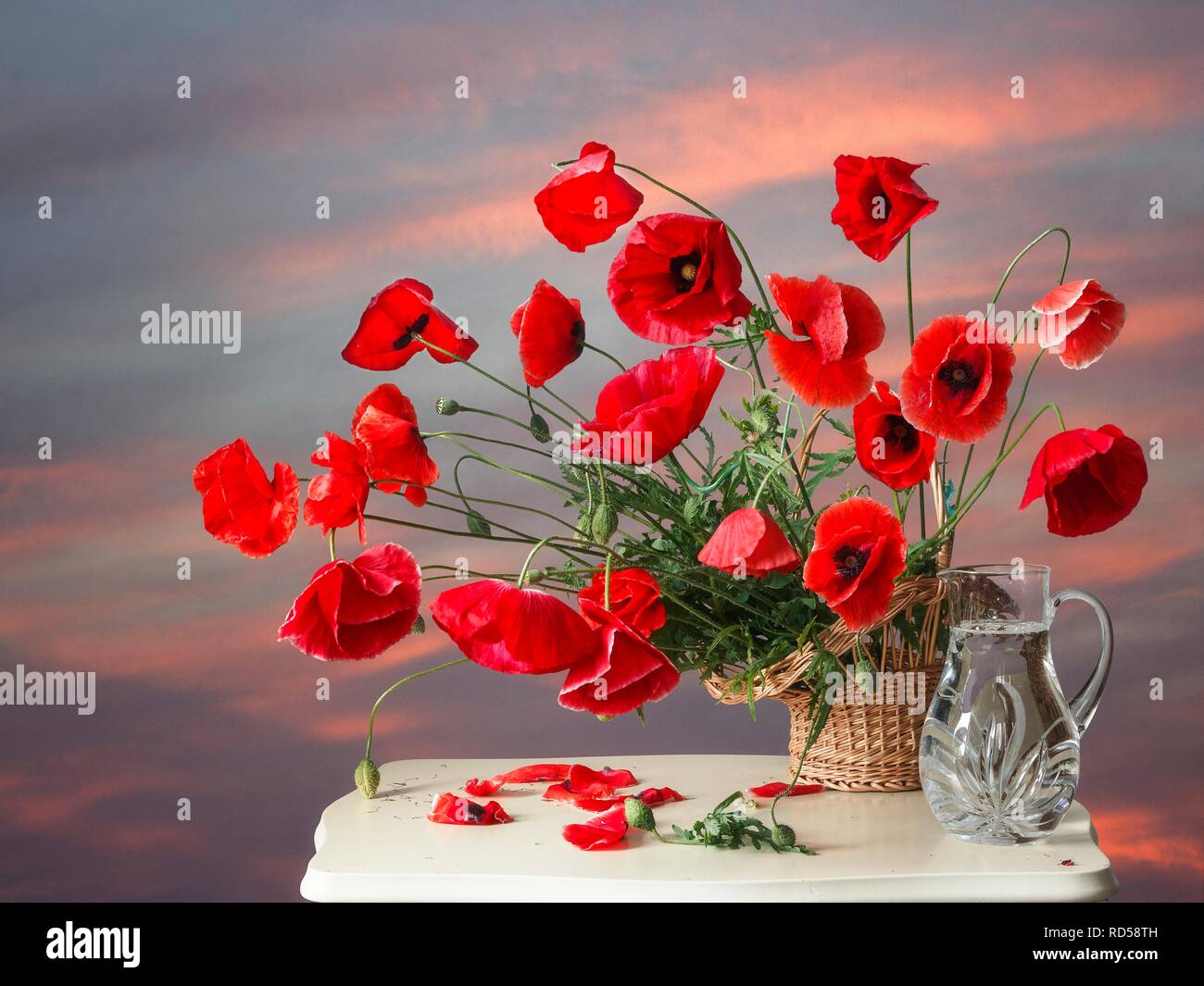 Still life with bouquet of red poppies Stock Photo - Alamy