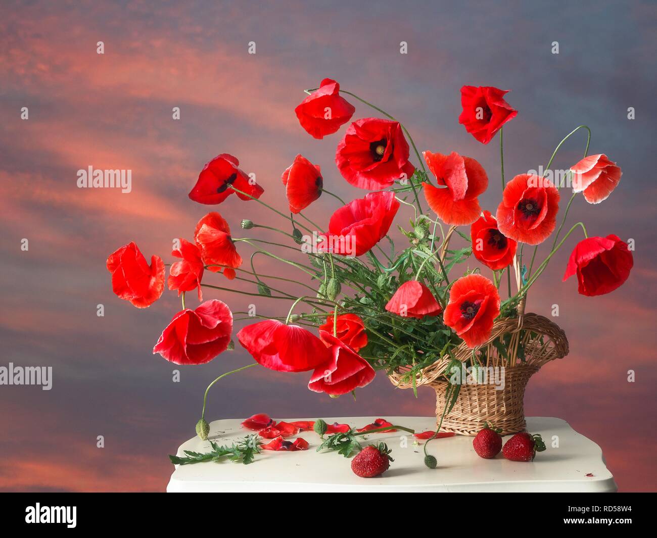 Still life with bouquet of red poppies Stock Photo - Alamy