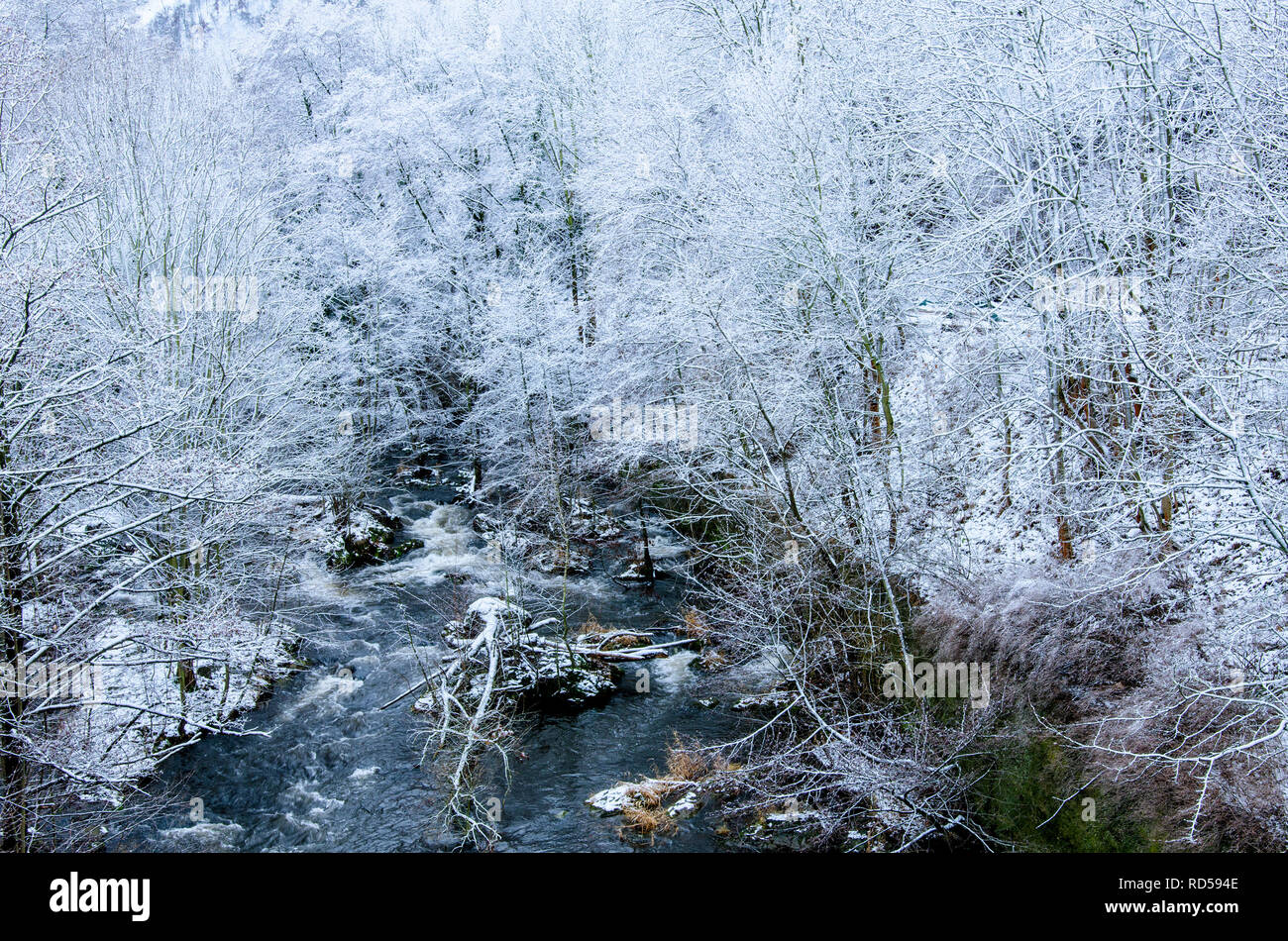 River Bode flowing through the white snowy forest by the town of thale at the foot of Harz mountains in central Germany Stock Photo