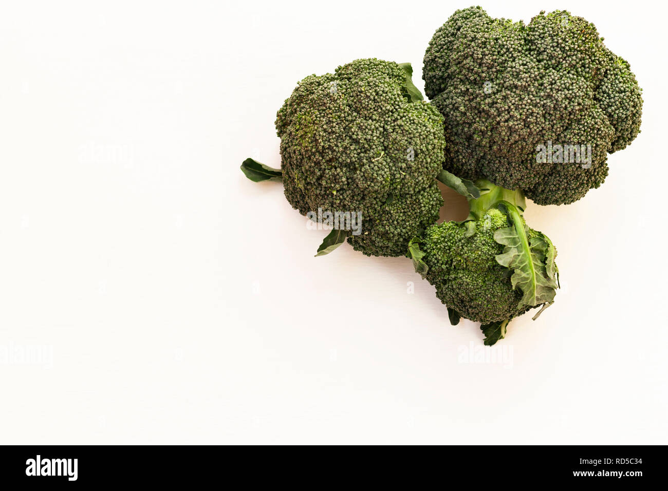 Broccoli inflorescence on white background isolated with space for text. Stock Photo