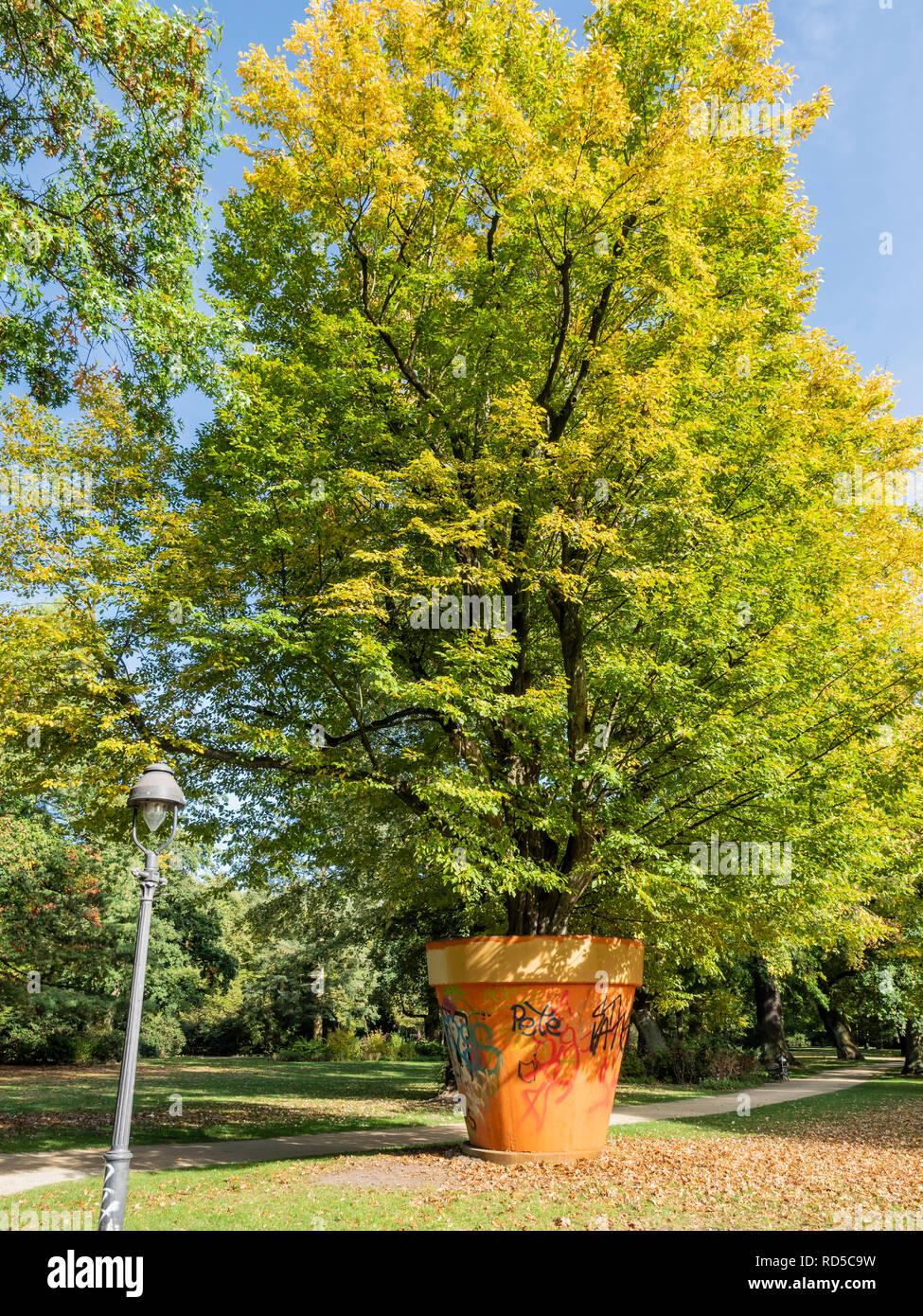 Public park ' The French Garden', art, a tree in a flower pot, summer, Celle, Lower Saxony, Germany, Europe Stock Photo