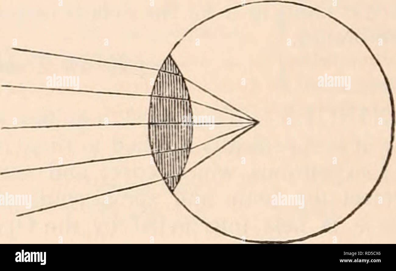 . The cyclopædia of anatomy and physiology. Anatomy; Physiology; Zoology. Parallel rays falling on a plano-convex lens brottght to a focus at the distance of its diameter, arid vice versa. if a double convex lens will bring parallel rays to a focus in the centre of its sphere of curva- ture, it will on the other hand cause rays to assume a parallel direction, which are diverging from its focus ; so that if a luminous body were placed in that point, all its cone of rays, which fell upon the surface of the lens, would pass out in a cylindrical form. Again, if rays al- ready converging fall upon  Stock Photo