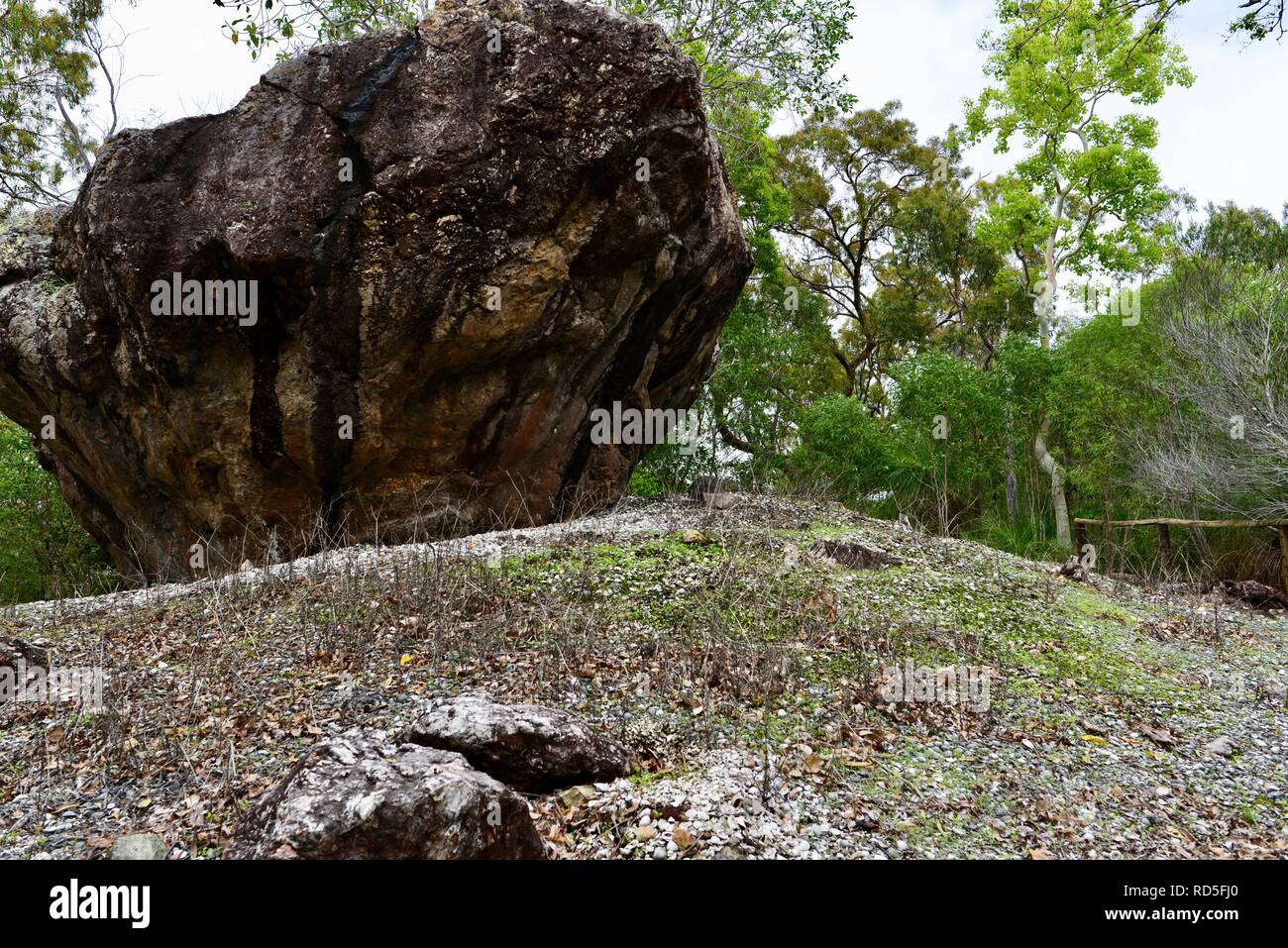 Aboriginal shell midden The diversity boardwalk at Cape Hillsborough