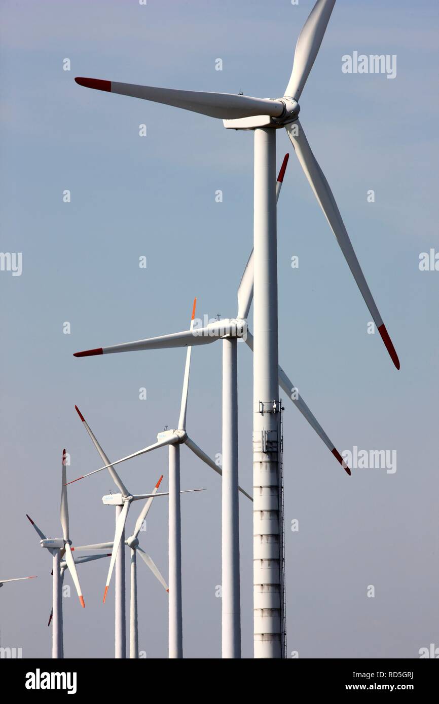 Rhede Stock Photos Rhede Stock Images Alamy