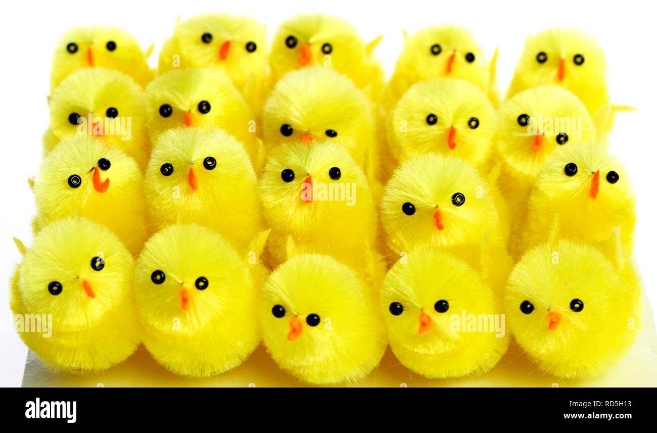 Mini chicks, Easter decorations Stock Photo