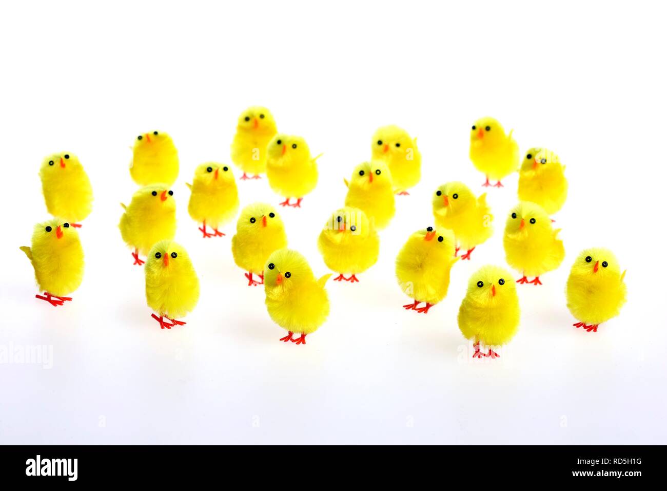 Mini Chicks Easter Decorations Stock Photo 231848444 Alamy