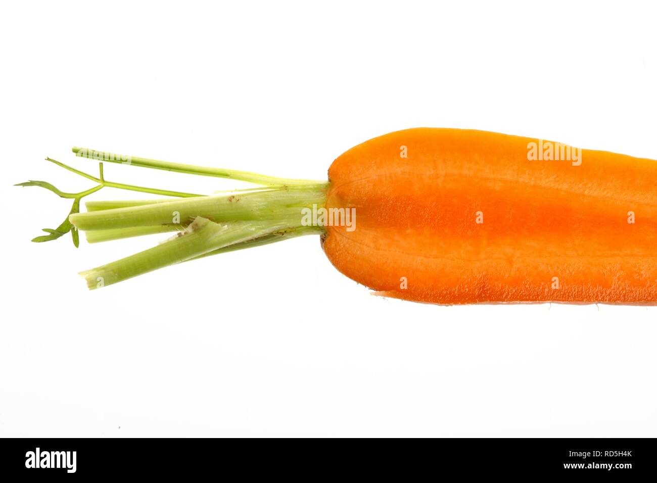 Carrot (Daucus carota subsp. sativus) Stock Photo