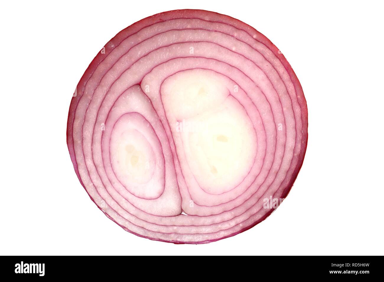 Red onion (Allium cepa), cross section Stock Photo Alamy