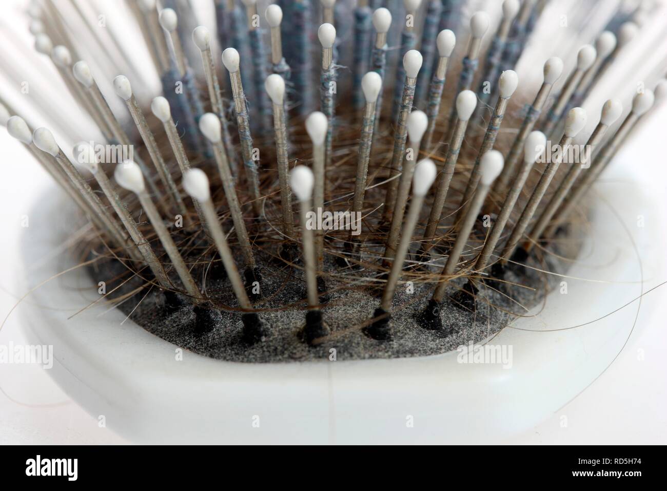 Hair brush with lots of hairs and fluff between the bristles Stock Photo