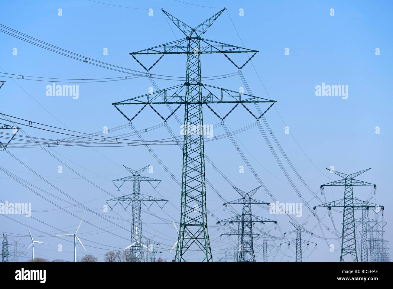 Electricity pylons, Brunsbüttel, Schleswig-Holstein Stock Photo
