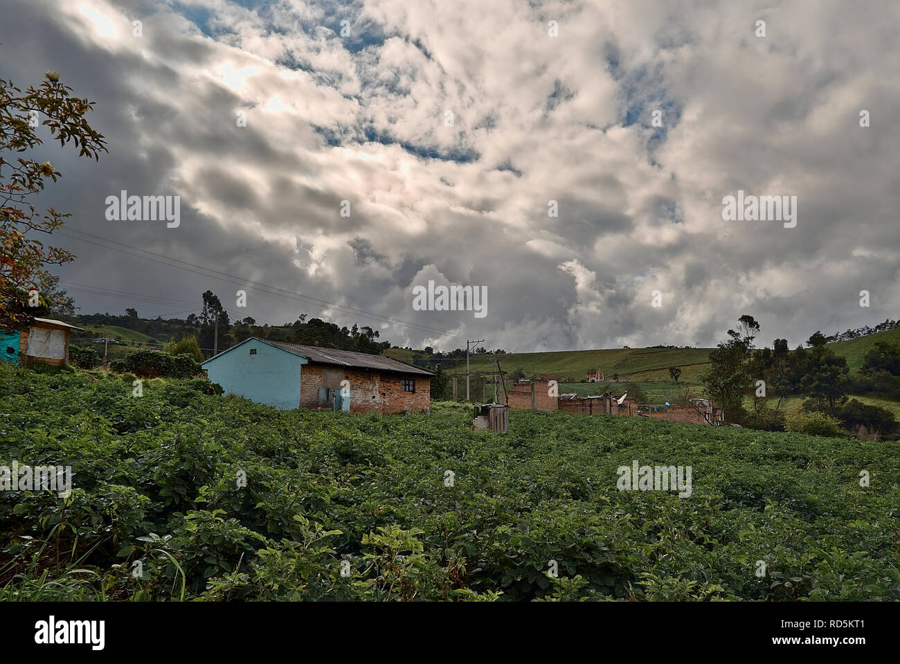 Country Landscape in Nariño Colombia Stock Photo
