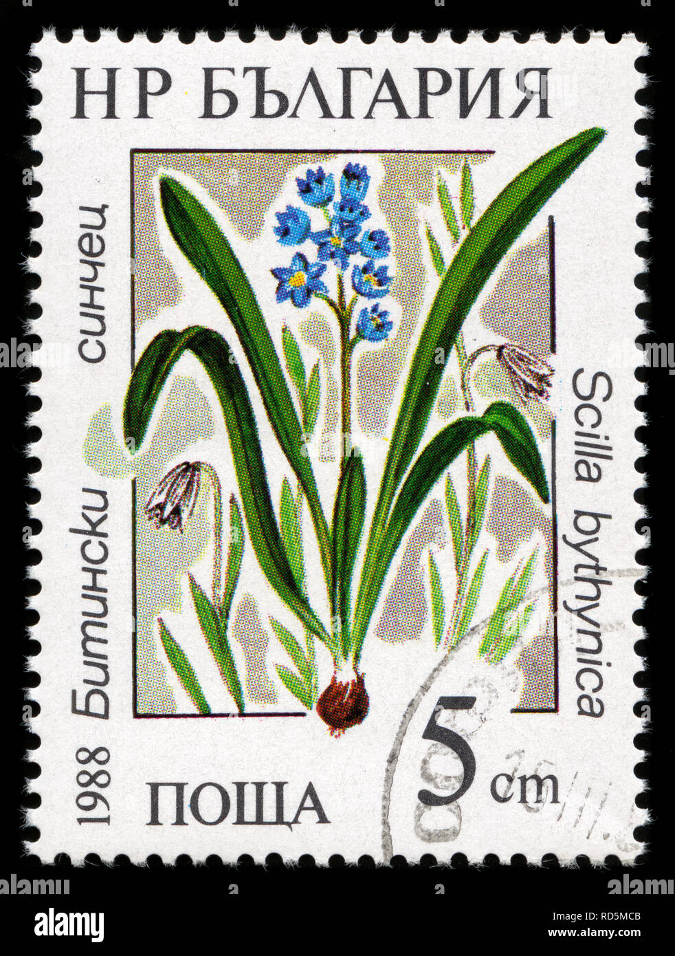 Postage stamp from Bulgaria in the Protected water plants series issued in 1988 Stock Photo