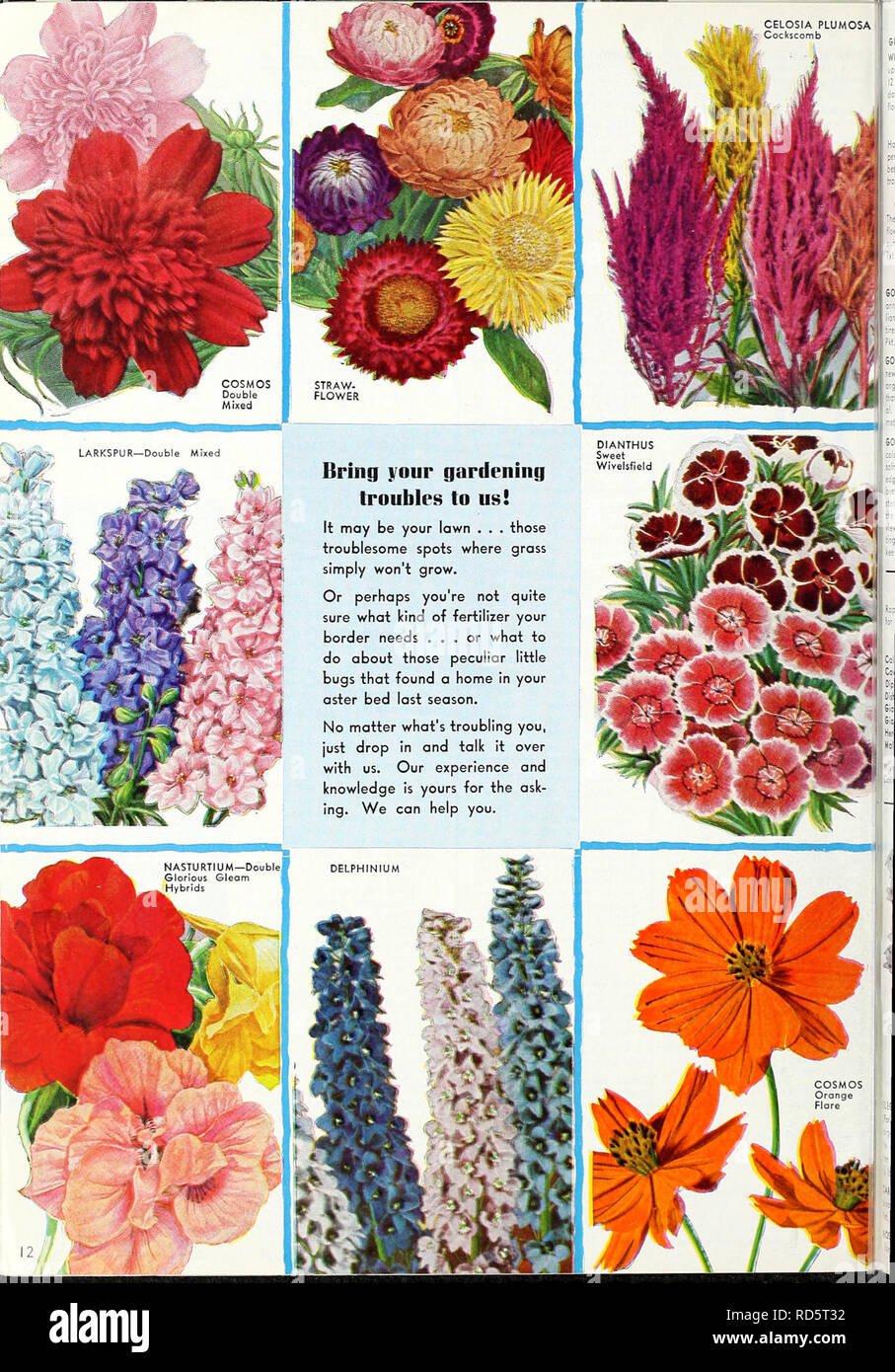 . Currie's garden annual : 1939. Flowers Seeds Catalogs; Bulbs (Plants) Seeds Catalogs; Vegetables Seeds Catalogs; Nurseries (Horticulture) Catalogs; Plants, Ornamental Catalogs; Gardening Equipment and supplies Catalogs. . Please note that these images are extracted from scanned page images that may have been digitally enhanced for readability - coloration and appearance of these illustrations may not perfectly resemble the original work.. Currie Brothers Company; Henry G. Gilbert Nursery and Seed Trade Catalog Collection. Milwaukee, Wis. : Currie Bros. Co. Stock Photo