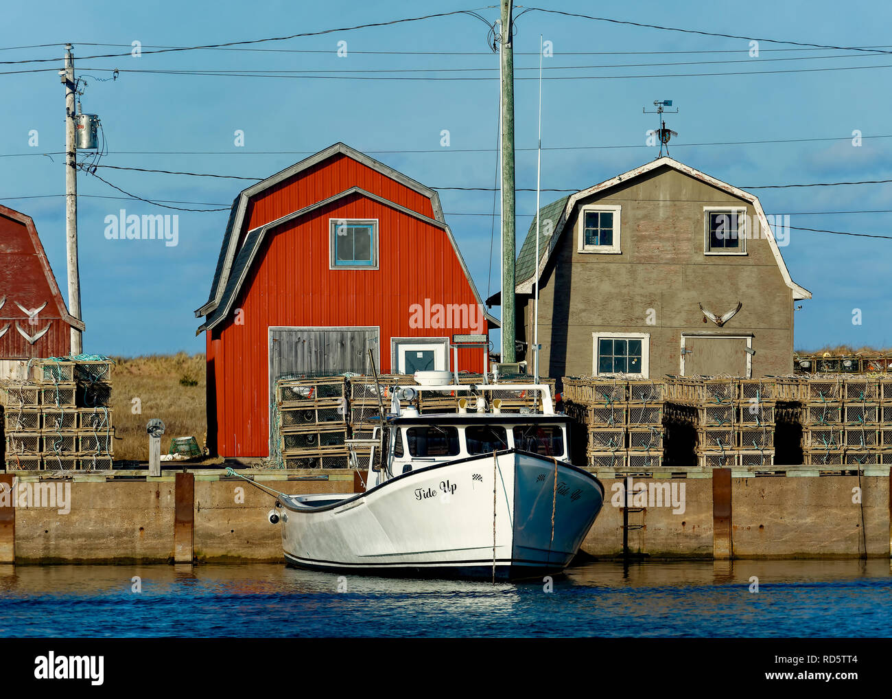 Lobster fishing boats tied up at a wharf in rural Prince Edward Island