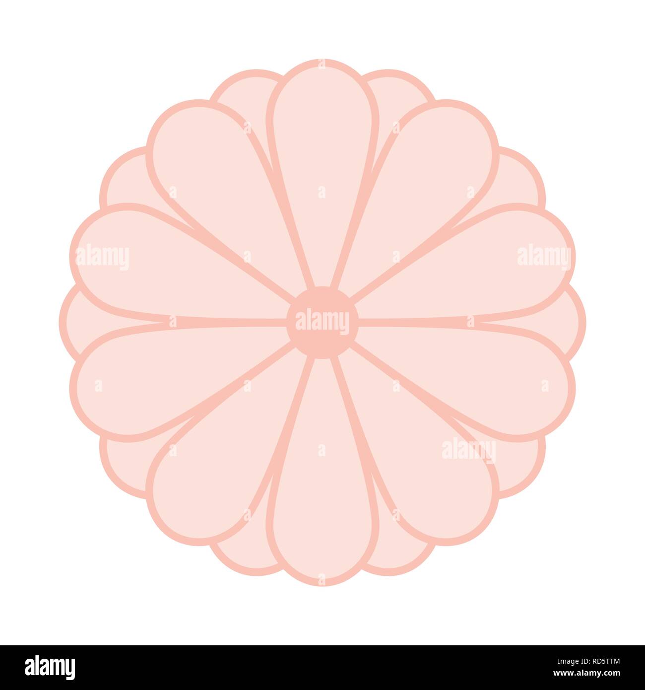 Japanese Kiku Chrysanthemum flower vector symbol. Vector Stock Vector