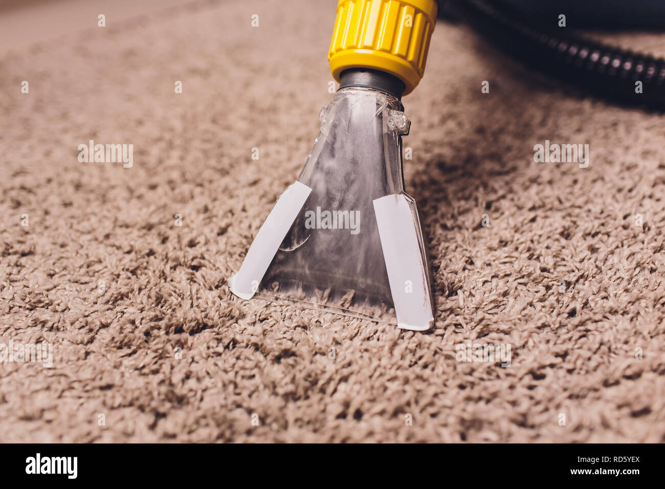 Woman removing dirt from carpet with vacuum cleaner in room Stock Photo