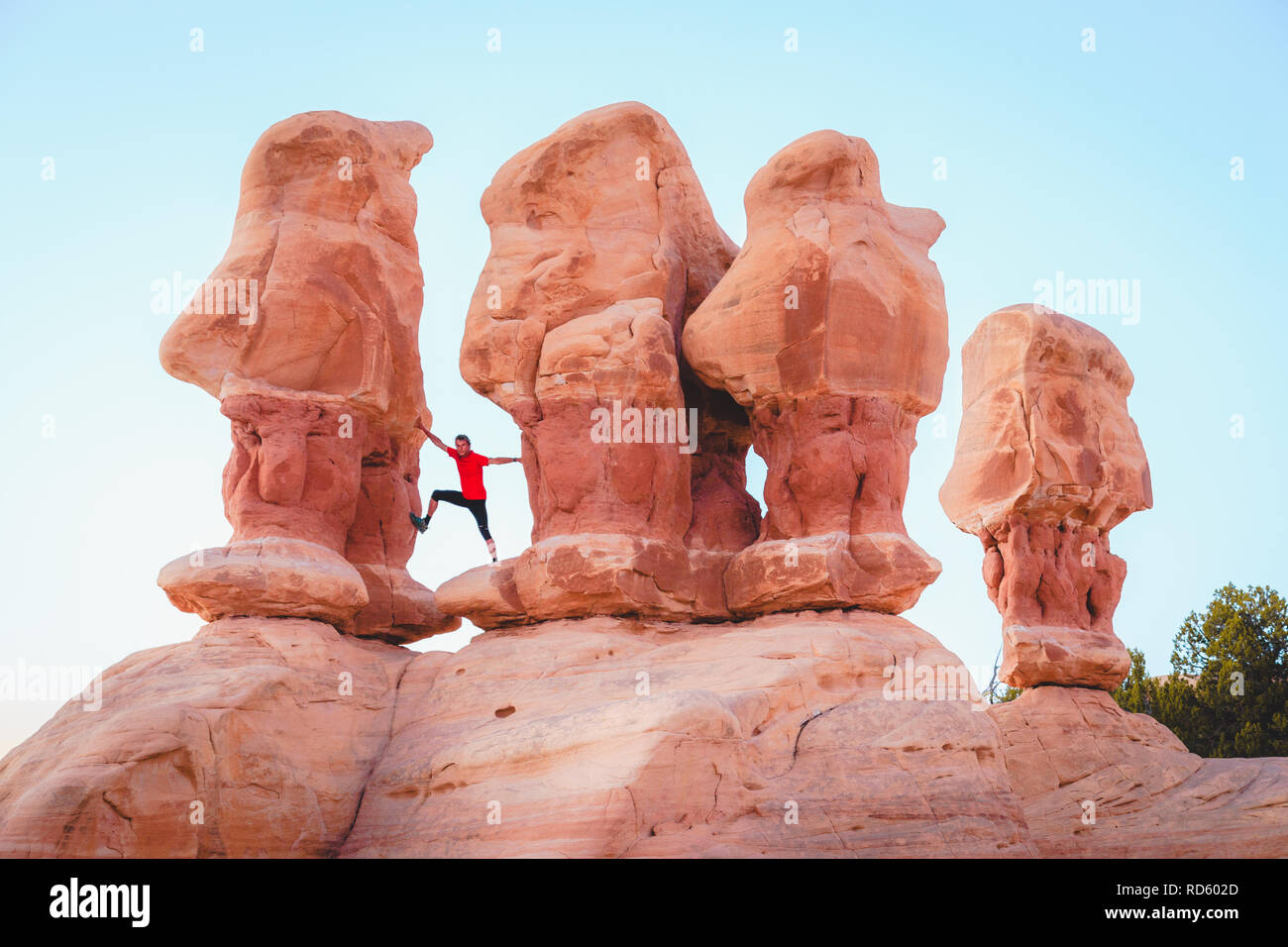 Beautiful view of male hiker standing between amazing Four Hoodoos sandstone formations in Devil's Garden in beautiful evening light at sunset Stock Photo
