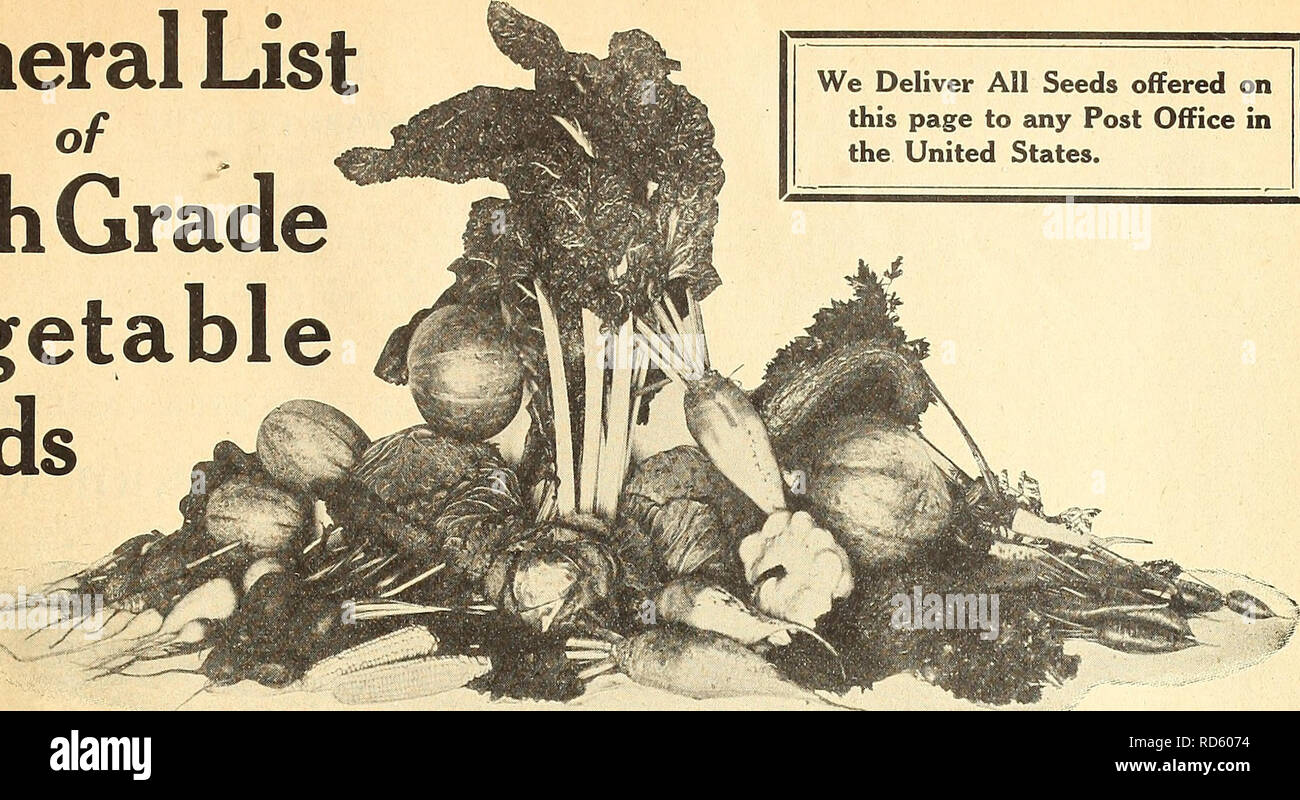 Currie S Farm And Garden Annual Spring 1920 45th Year Flowers