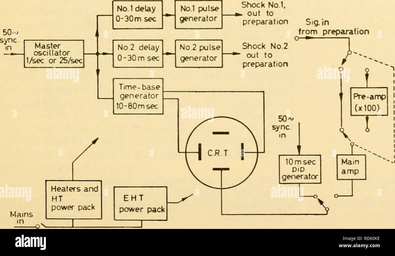 Electronic apparatus for biological research. Electronic apparatus 