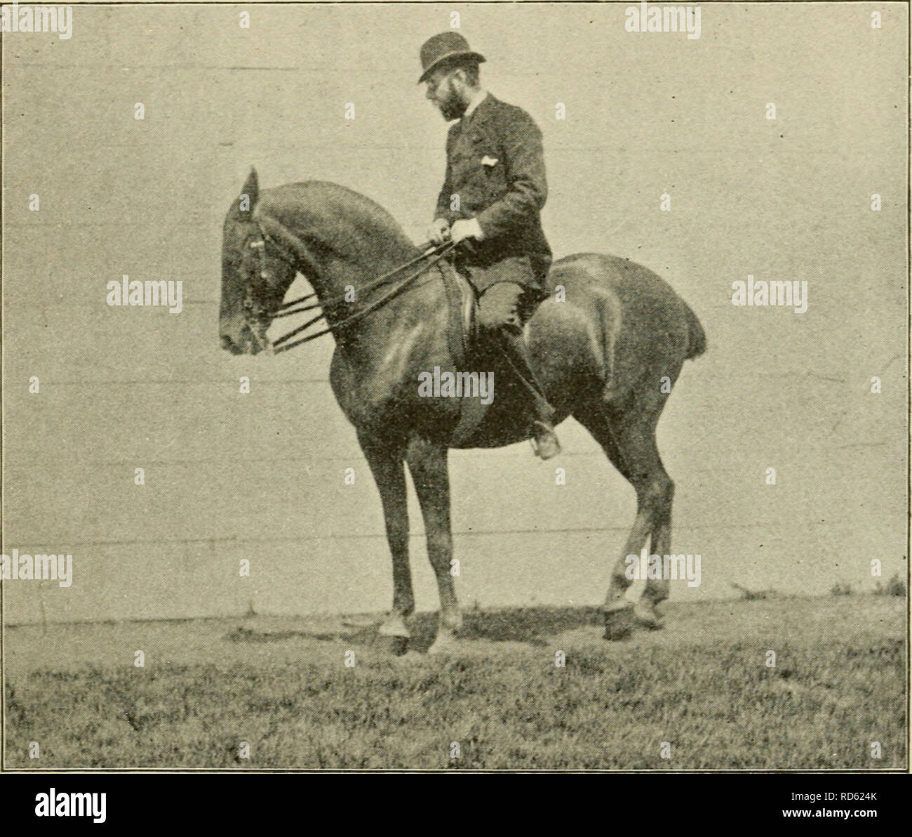 . Curb, snaffle, and spur a method of training young horses for the