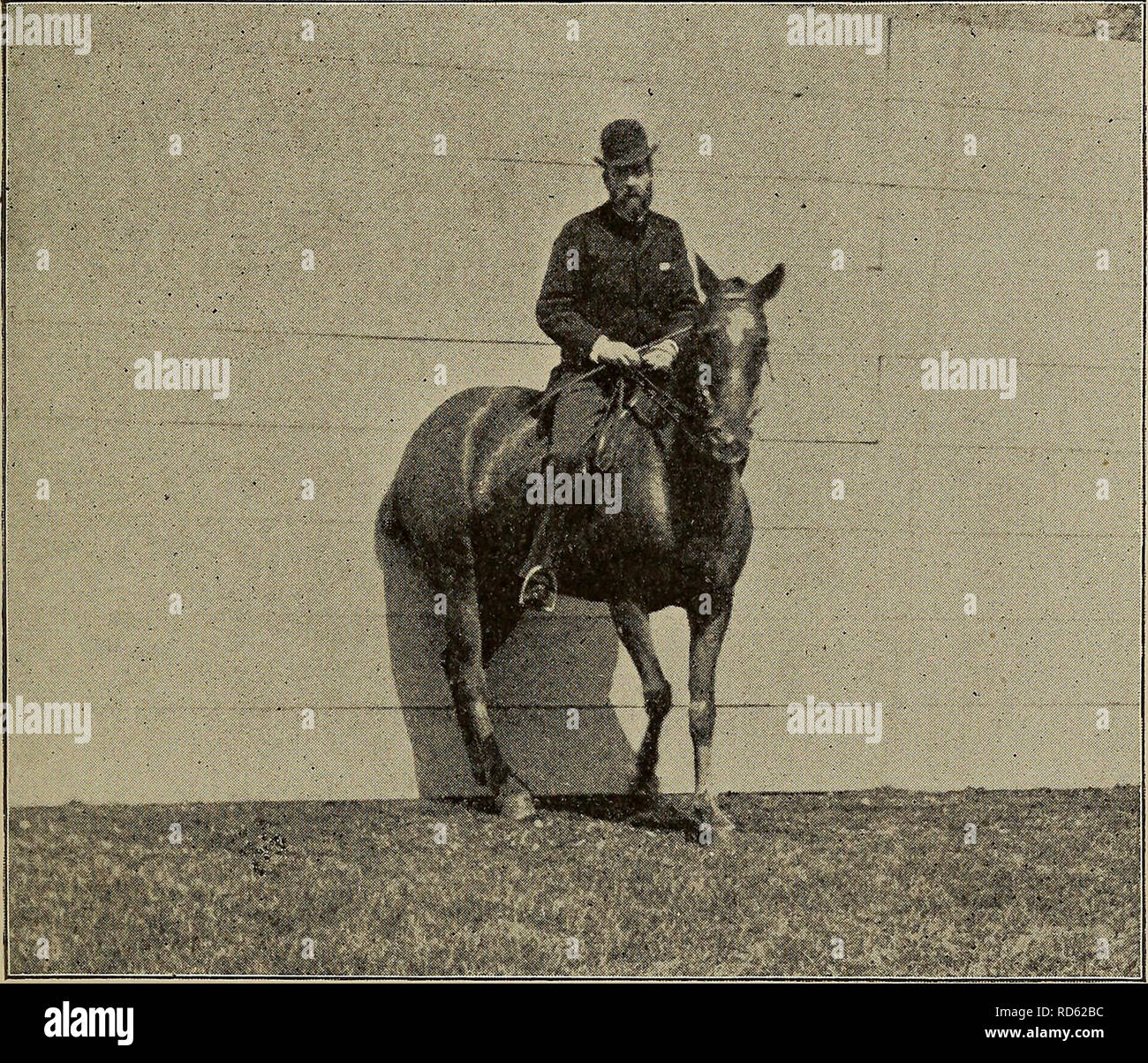 Spur 59 hires stock photography and images Alamy