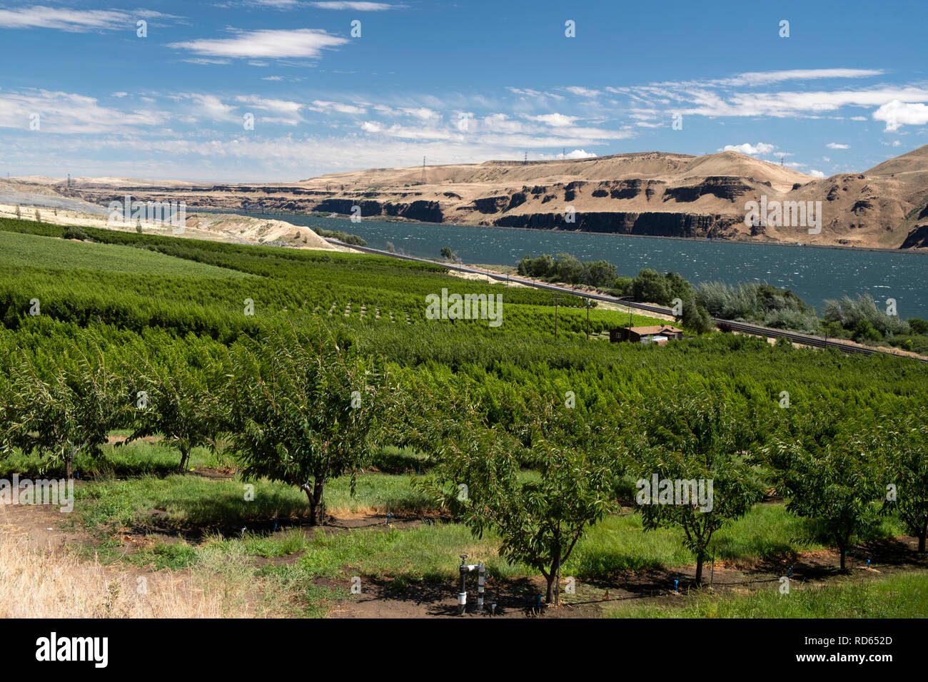 Summertime Views of the Columbia River in Washington State Stock