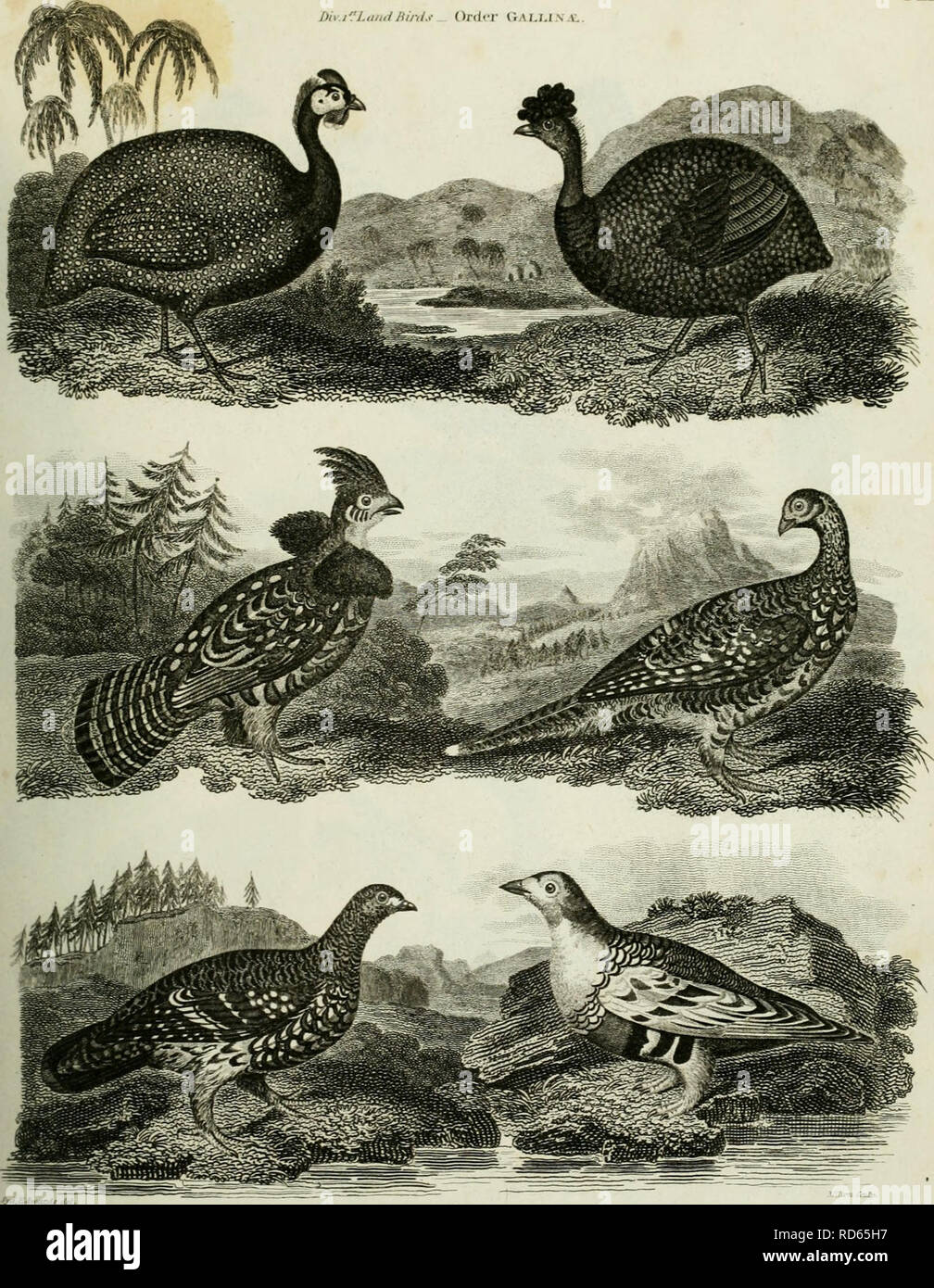 Page 416 Vt High Resolution Stock Photography And Images Alamy