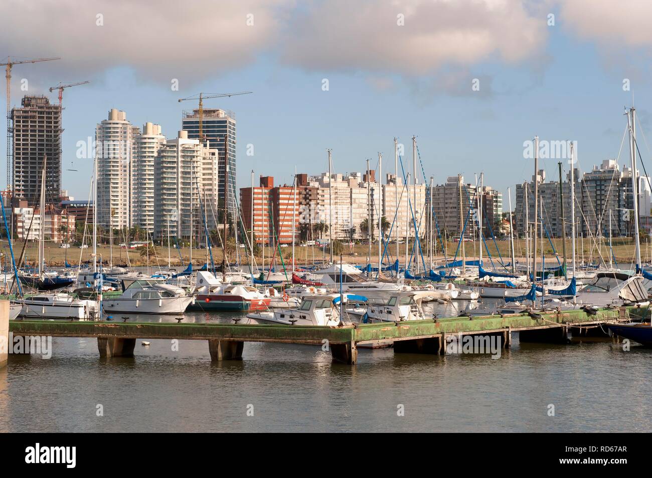 Montevideo marina and skyline, Uruguay, South America Stock Photo