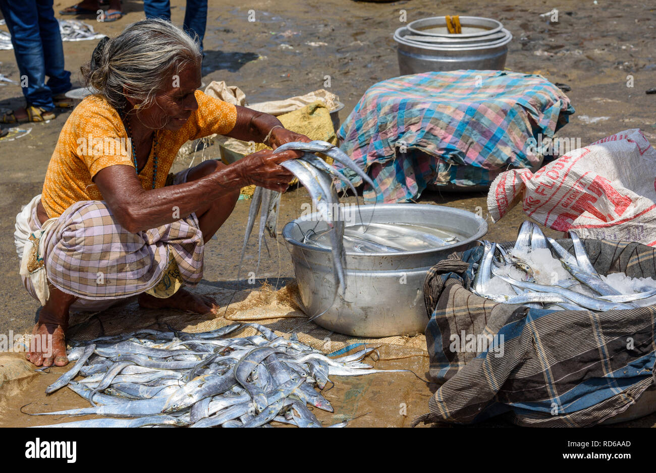 Vizhinjam beach fish market, near Kovalam, Kerala, India Stock Photo