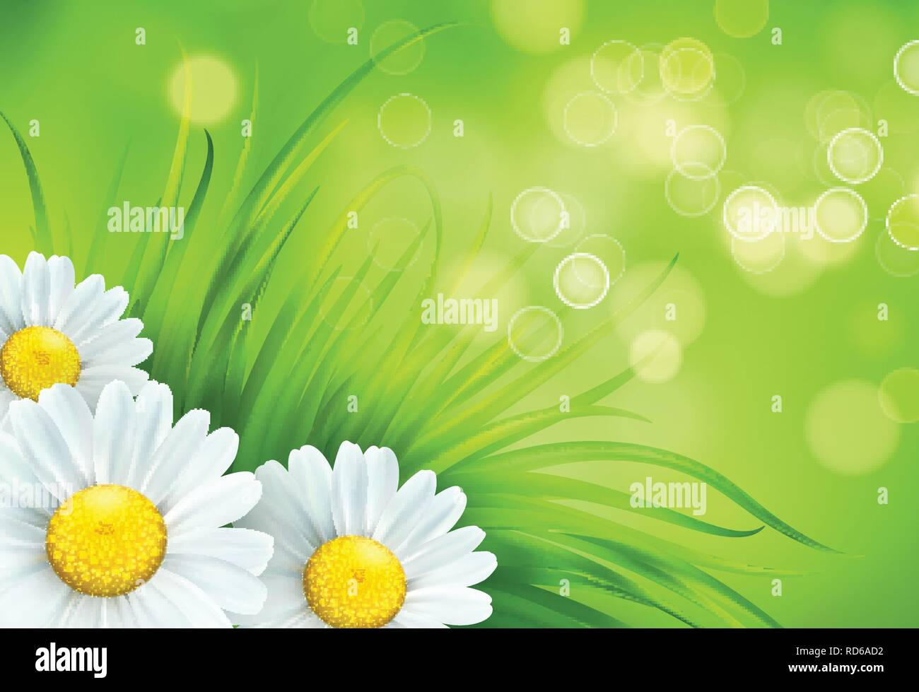 Frash Spring green grass and chamomile background. Vector illustration Stock Vector