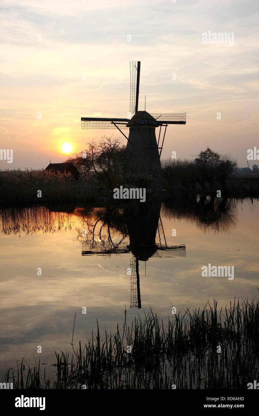 Historic Windmill, UNESCO World Heritage Site, Kinderdijk, South ...