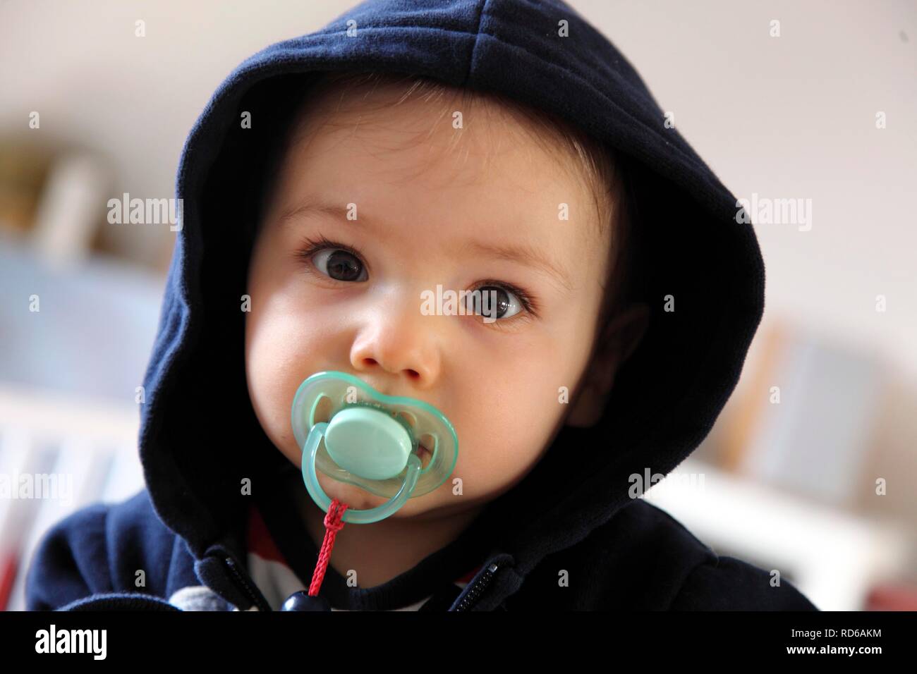 Portrait of a little boy, 10 months, with pacifier and hoodie Stock Photo