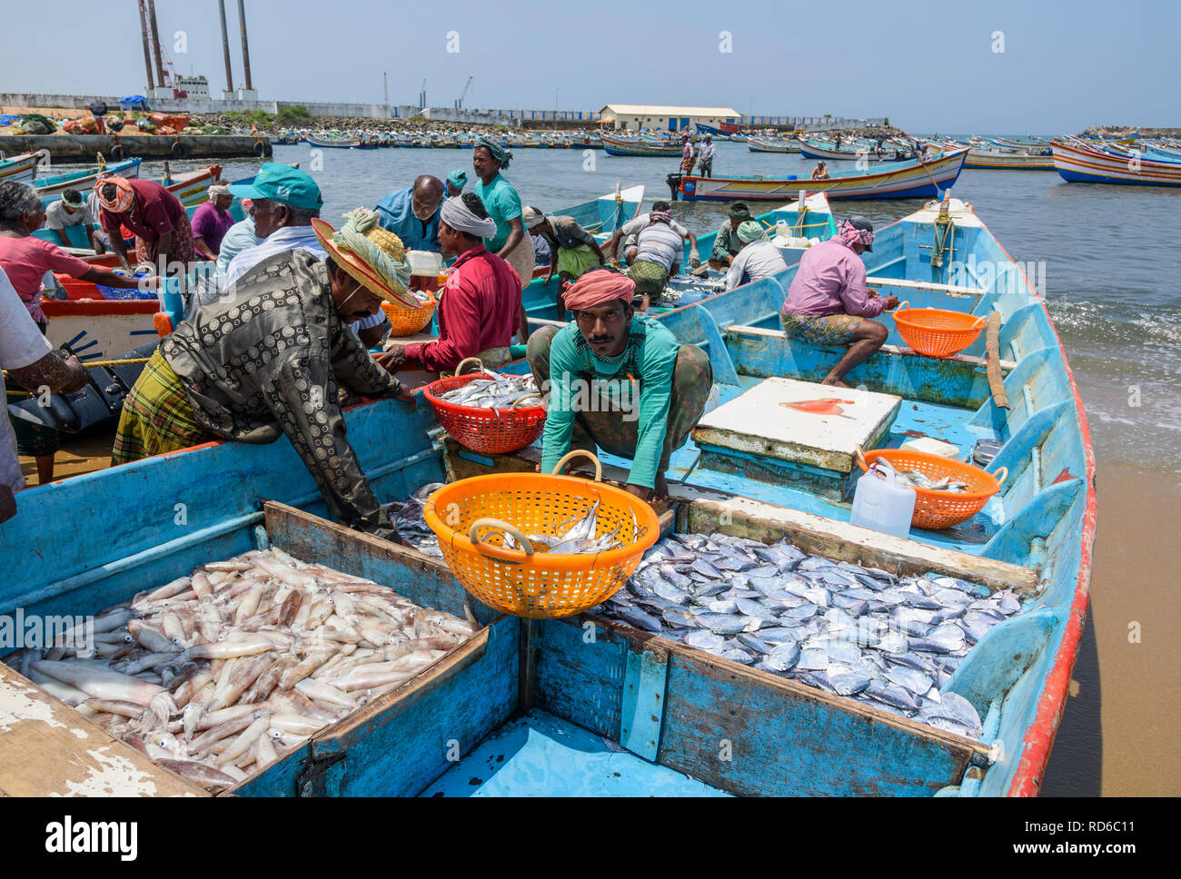Fish online market nearby