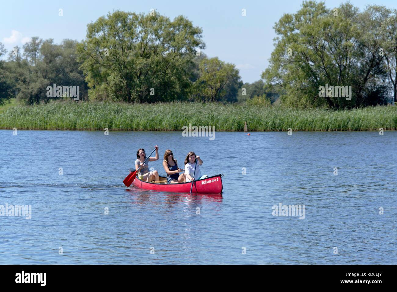 Naturpark elbufer drawehn hi-res stock photography and images - Alamy