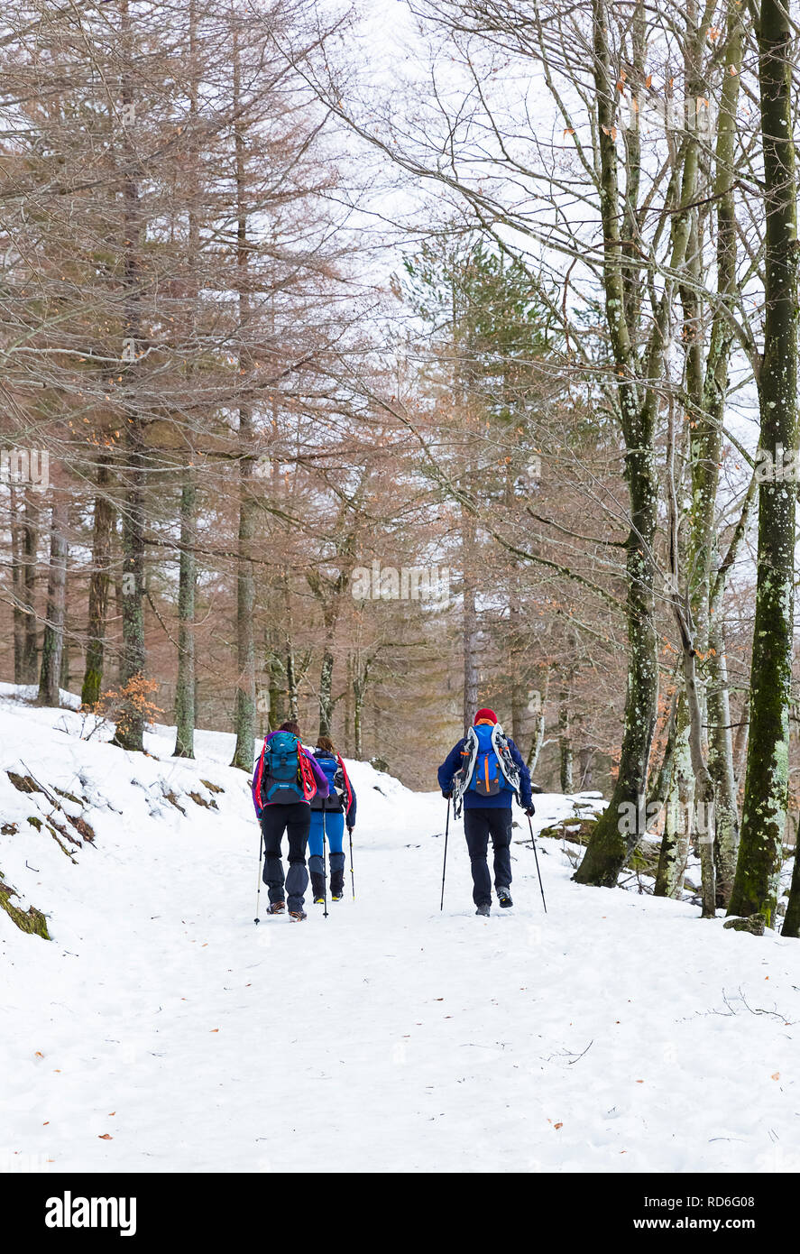 Trekking in a snowy day in the Basque Country Stock Photo