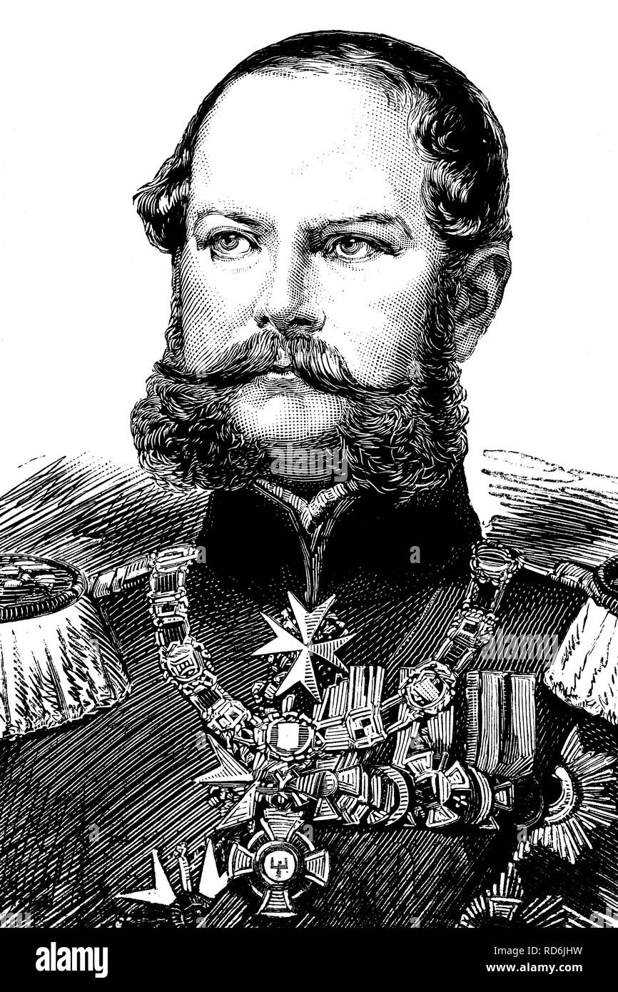 Friedrich Karl of Prussia, 1828 - 1885, Prussian prince and general, historical illustration, 1884 Stock Photo